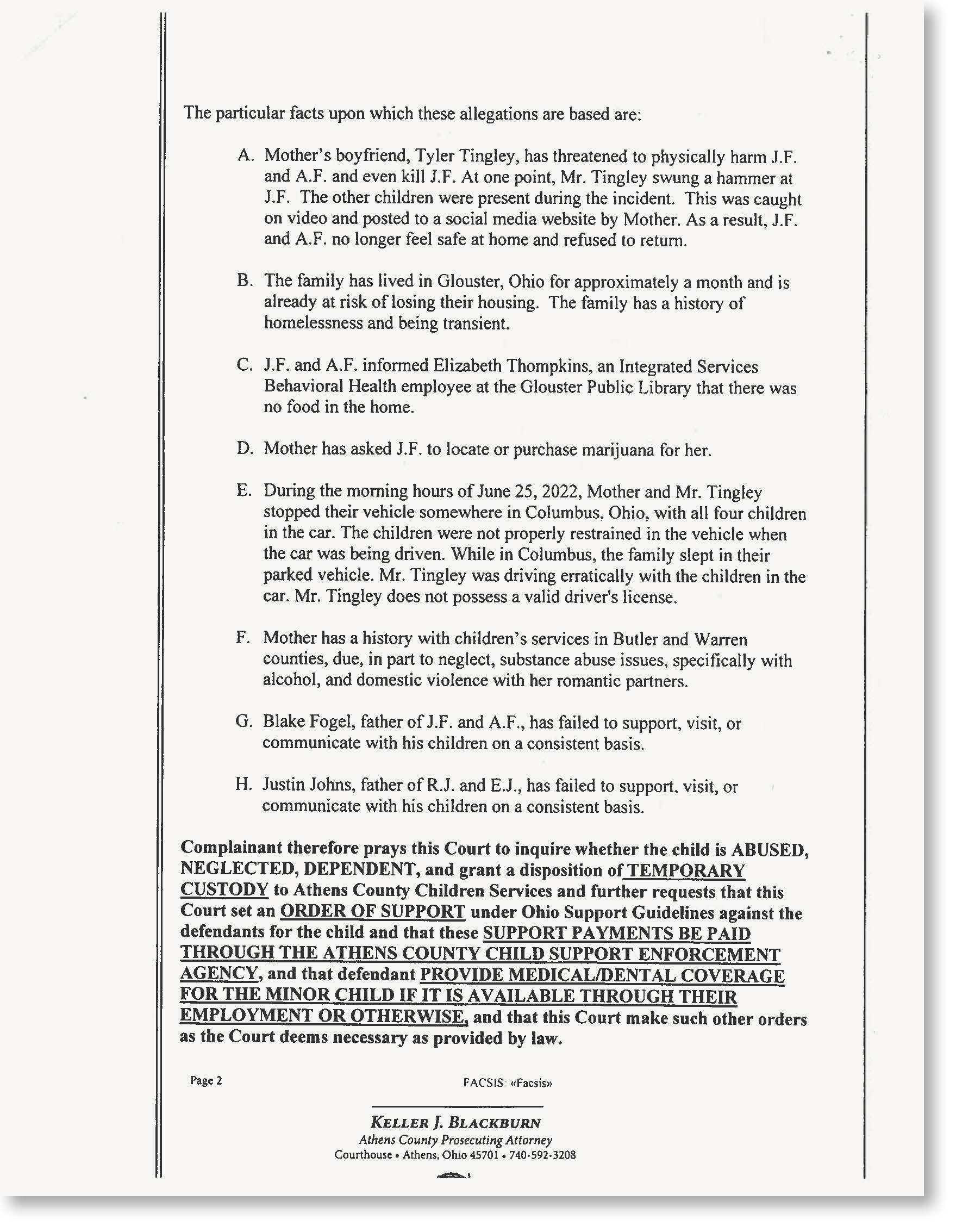 The list of allegations in the complaint against Theresa Fogel