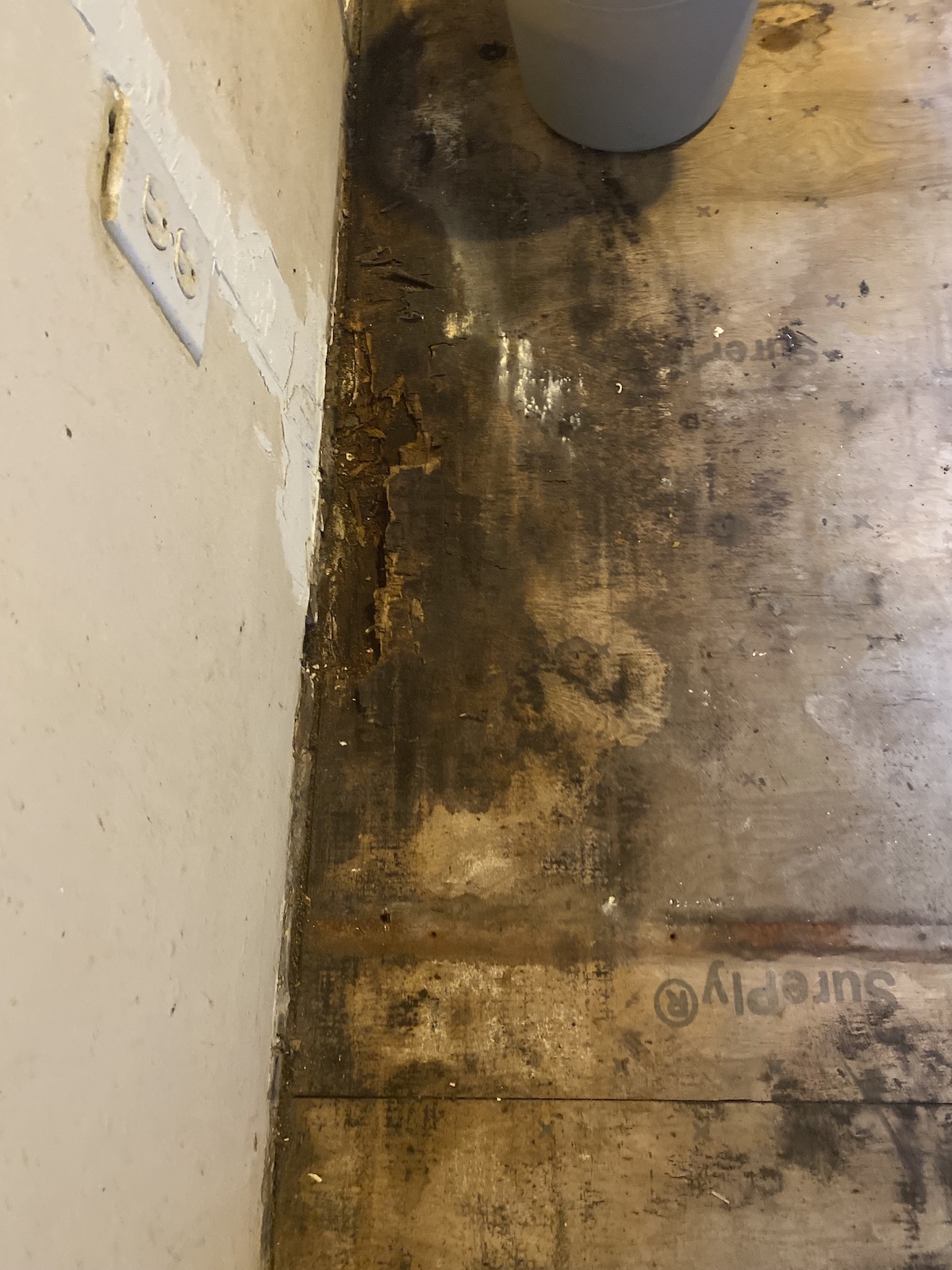 Photo of a rotting floor inside a home